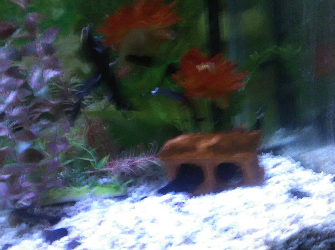 合肥汉海极地海洋世界-合肥市必去景点