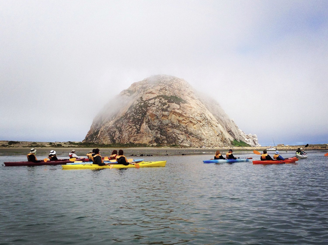 Kayak Horizons-莫罗贝必去景点