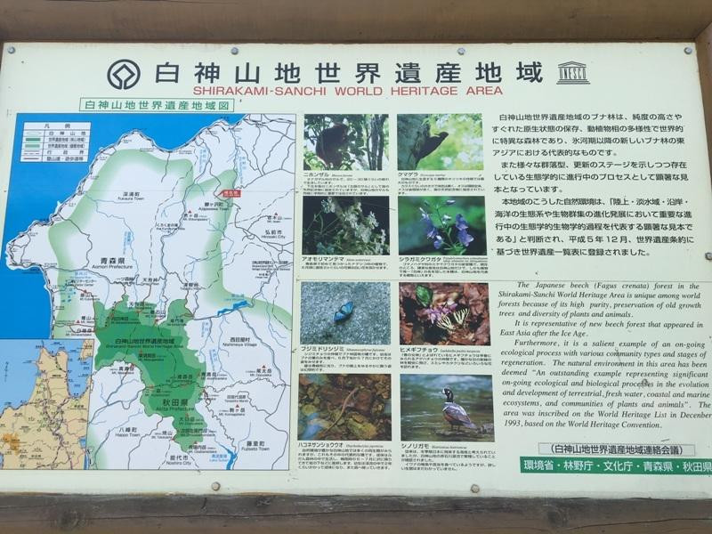 Shirakami no Mori Trail-鲹泽町必去景点