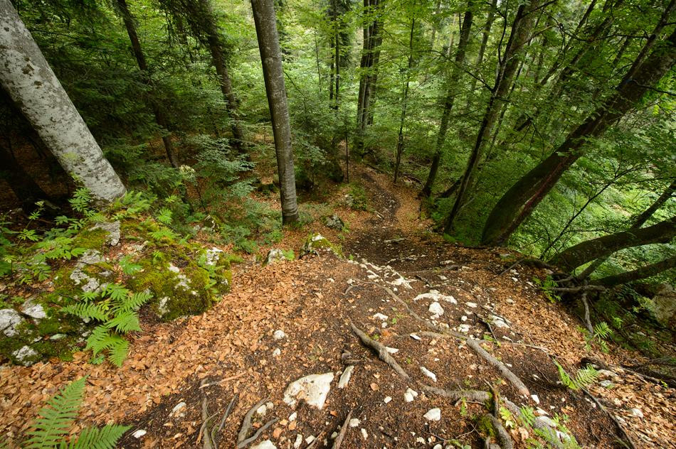 Bike Resort Sinaia-锡纳亚必去景点
