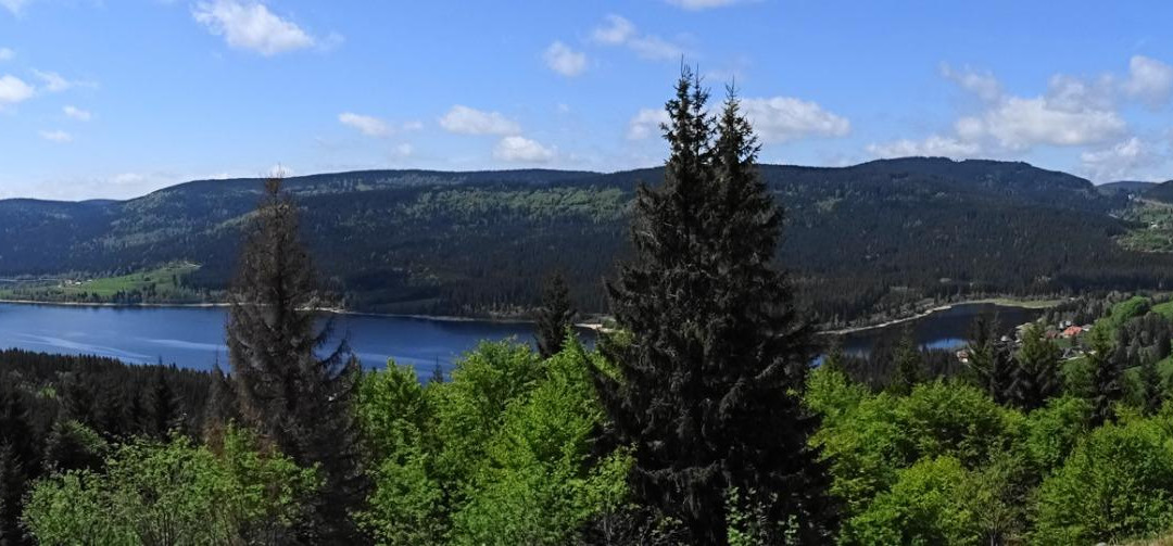 斯特内沃彻尔酒店主图