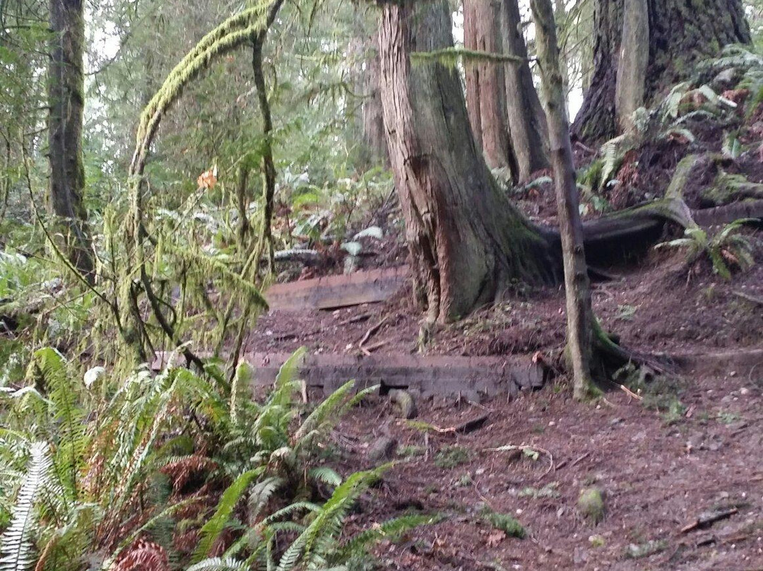 McCormick Forest-吉格港必去景点