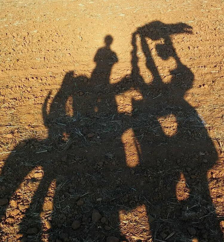 Iron Horse-阿森斯必去景点