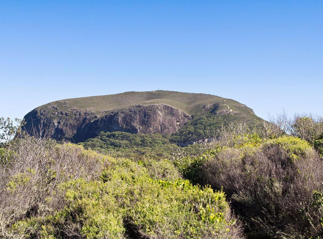 Mount Coolum旅游攻略图片