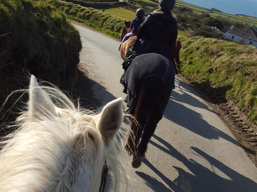 Tredole Trekking & Riding Stables