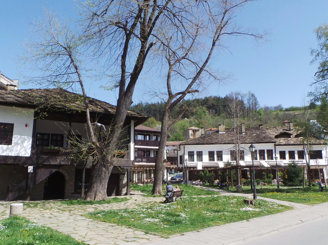 Zeleno Darvo旅游攻略图片