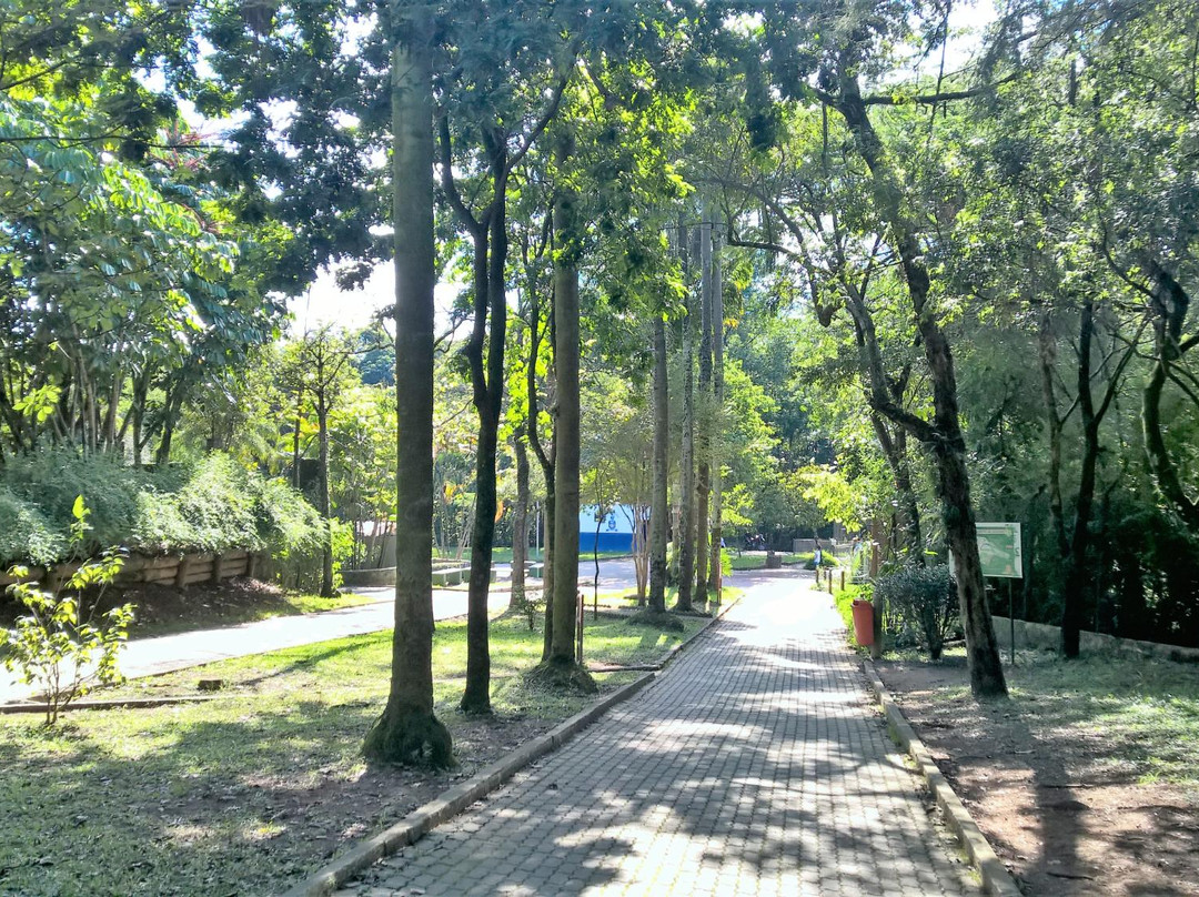 Zoológico Municipal de Guarulhos景点图片