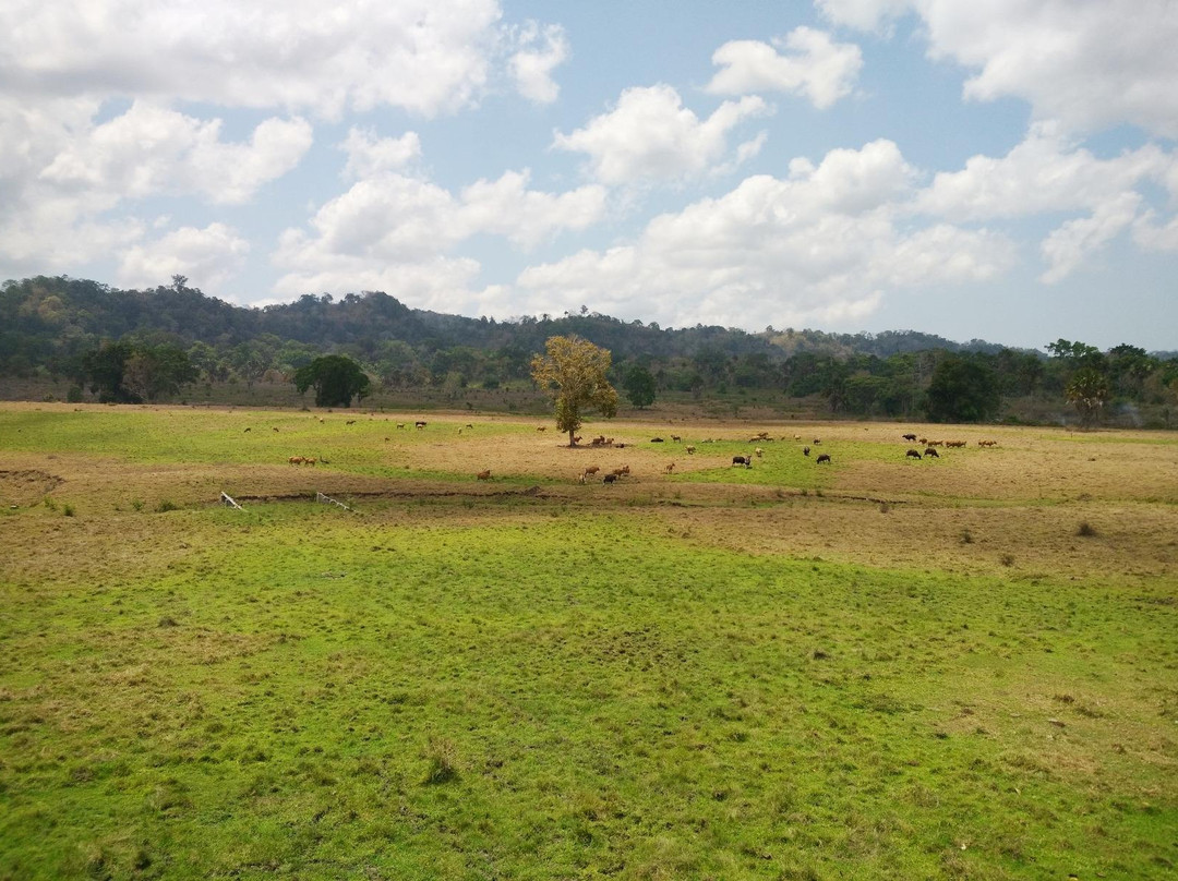 Sadengan Savannah-巴纽旺宣必去景点