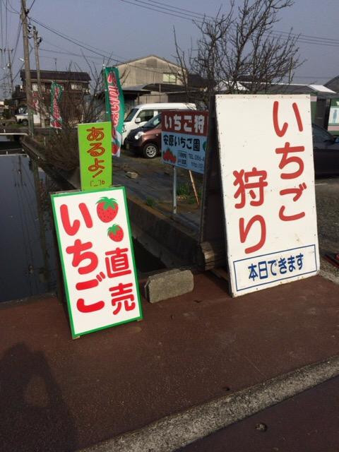 Yasuhara Strawberry Farm-仓敷市必去景点