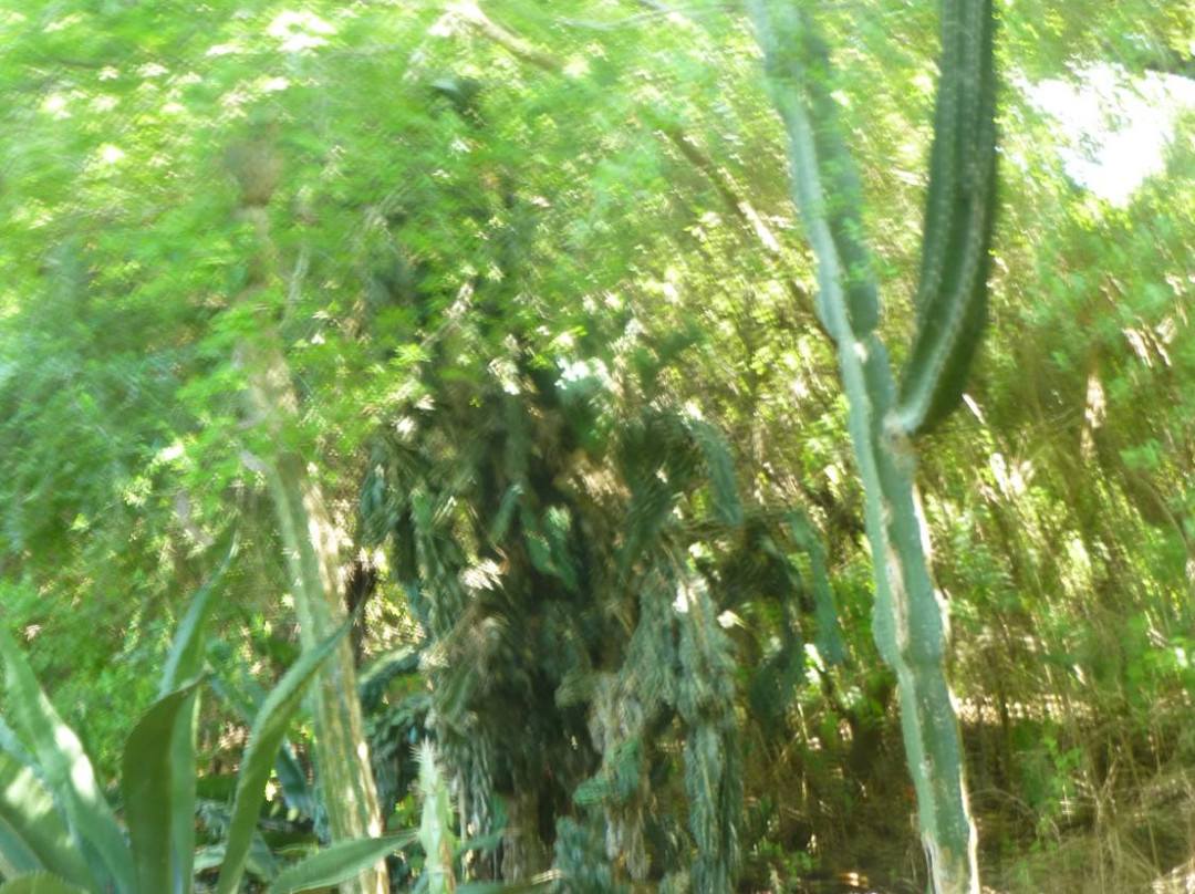 Valley Nature Center-Weslaco必去景点