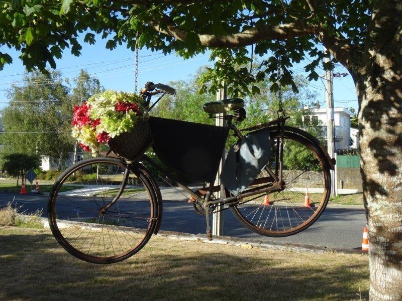 Brentwood Manor主图