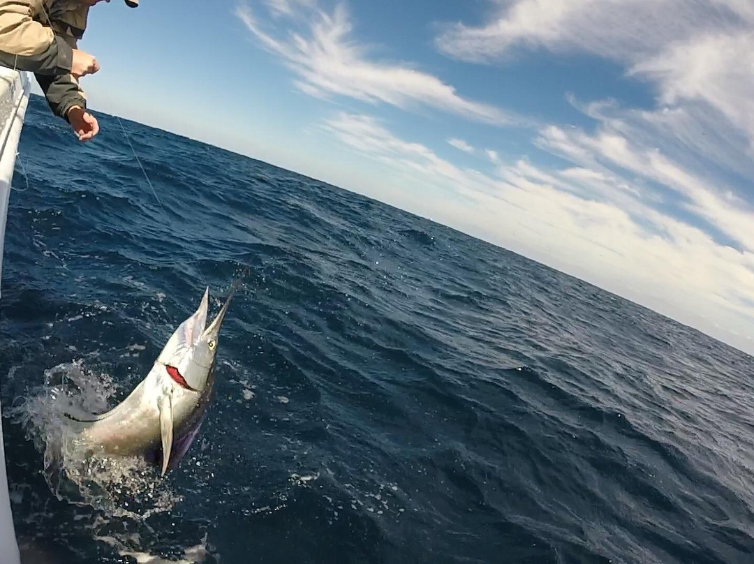 Lawless Sport Fishing Charters-Palm Beach Shores必去景点