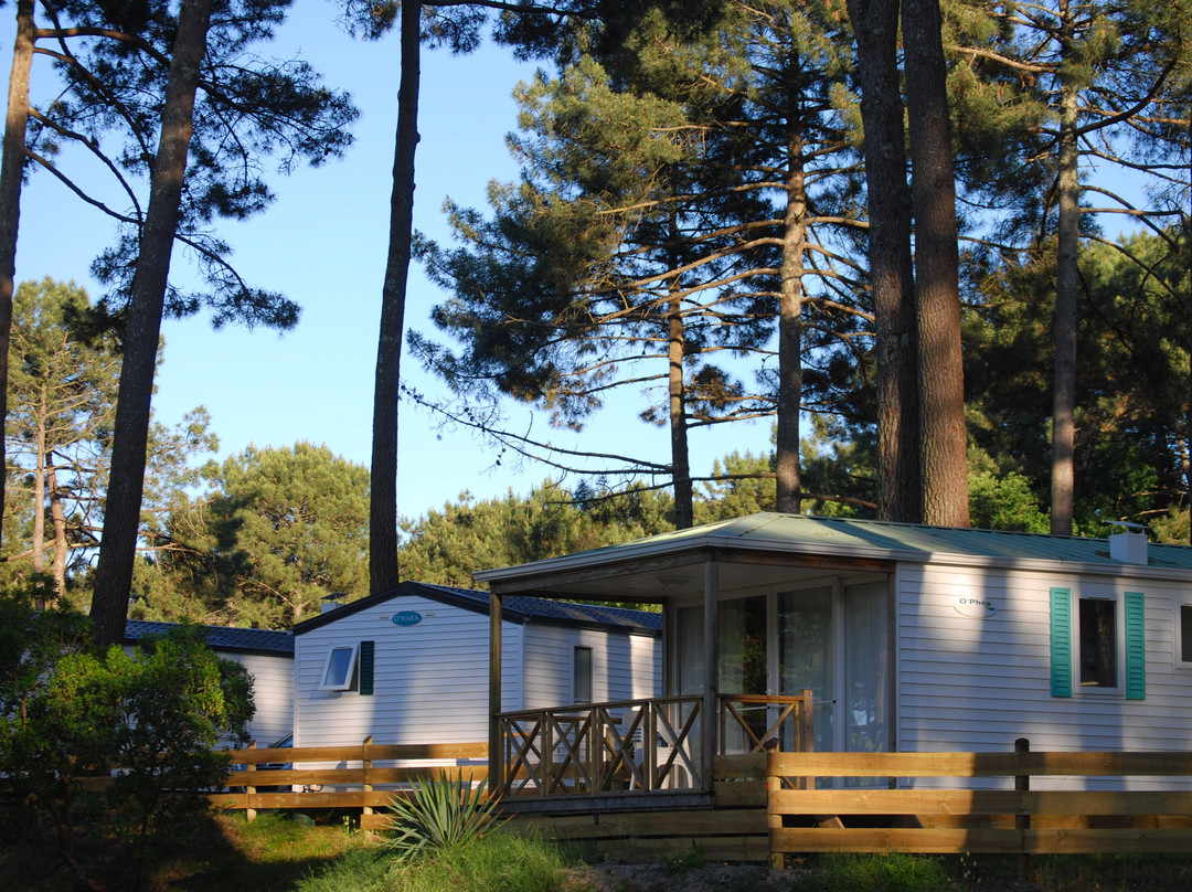 Camping de Maubuisson