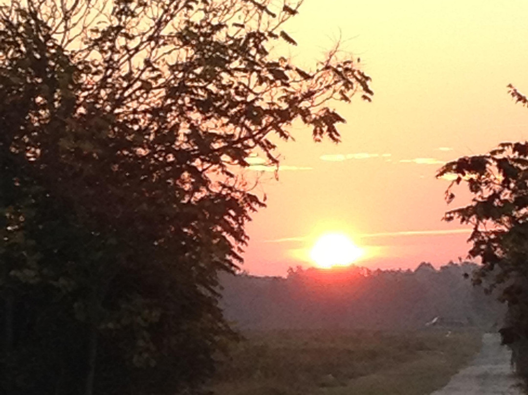 Mt. Olympus Farm-Ruther Glen必去景点