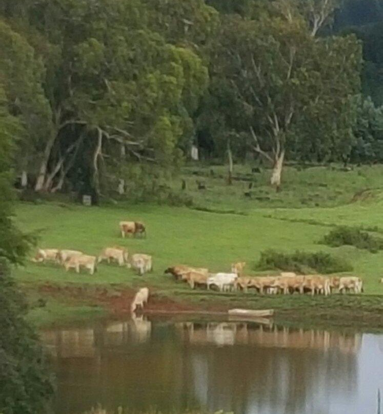 Absolute Polo-安德堡必去景点