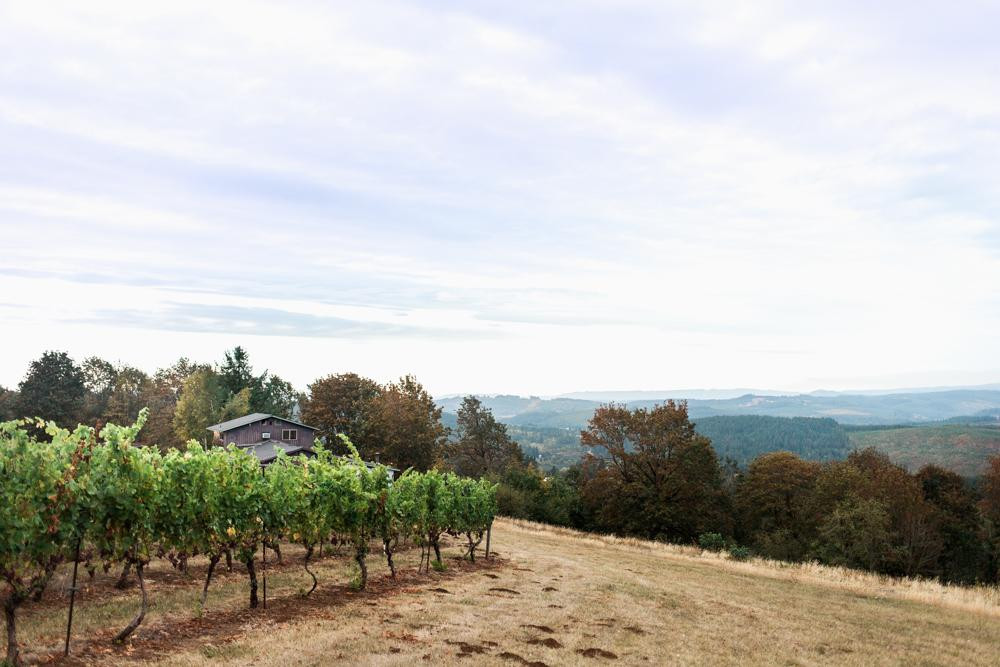 Marks Ridge Winery-Sweet Home必去景点