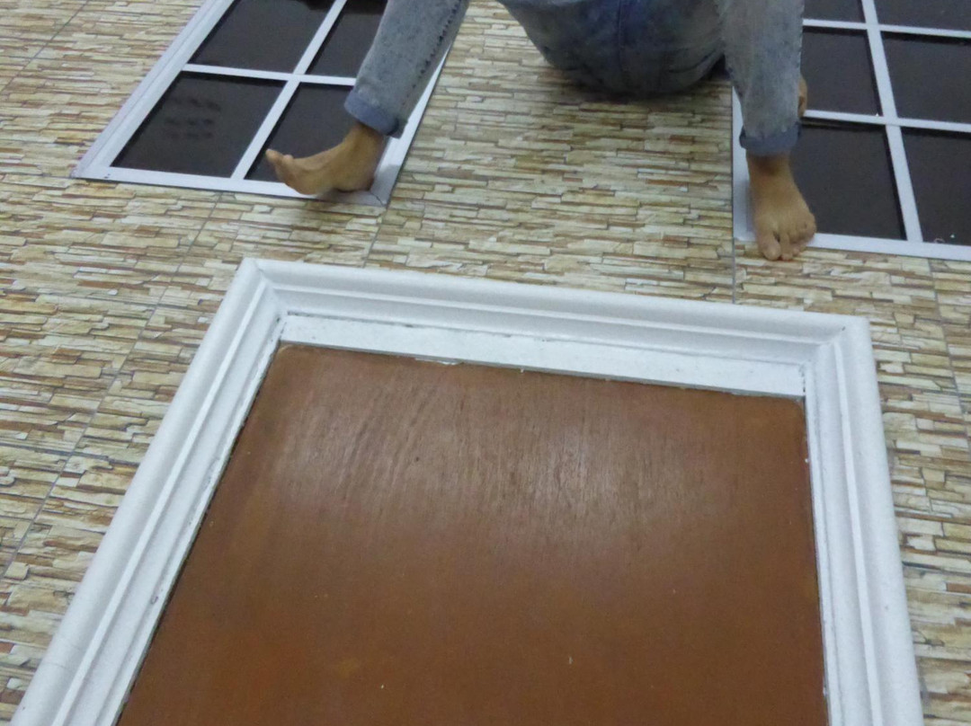 Upside Down Art Gallery-波德申必去景点