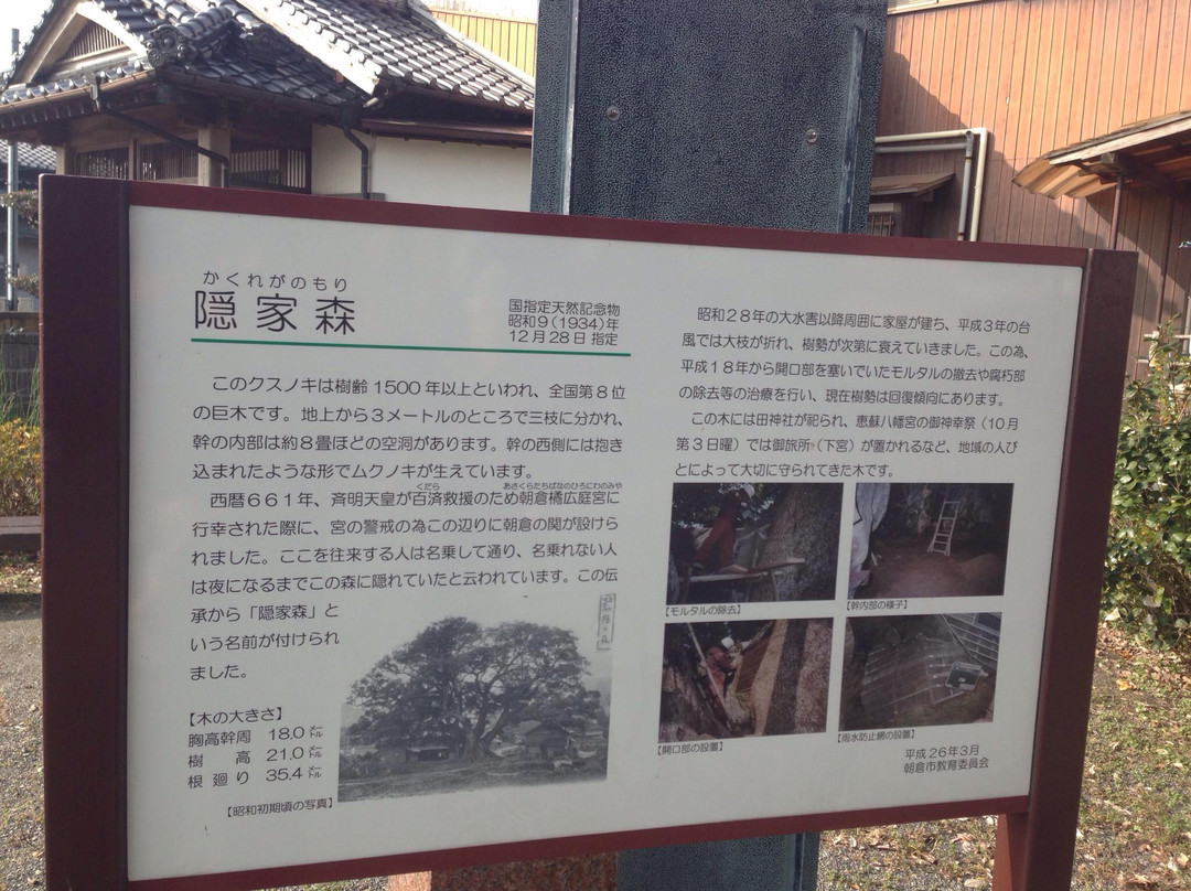 Kakurega no Mori-朝仓市必去景点