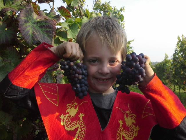 Zilver Cruys Winery景点图片