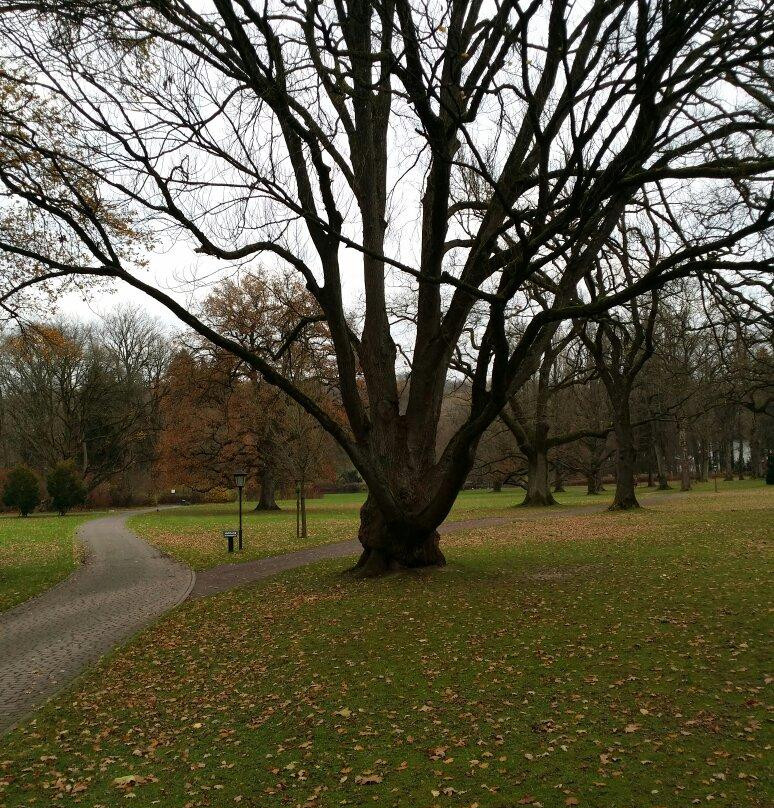 Gräeflicher Park Spa景点图片