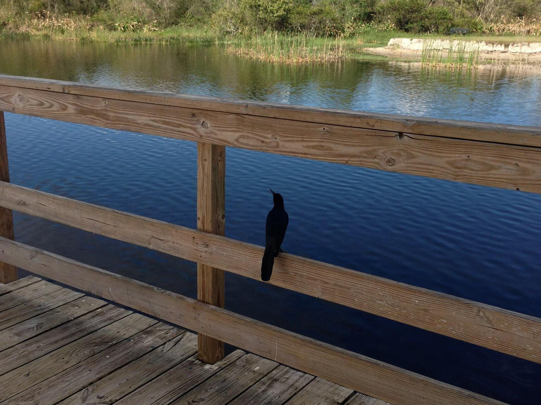 Lake Trafford-Immokalee必去景点