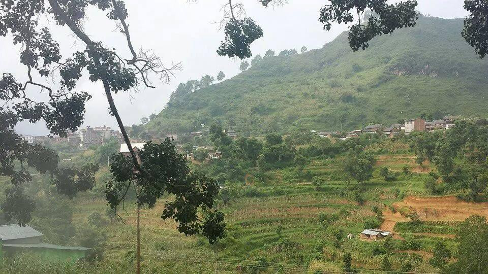 Well Adventure Tours and Travel-加德满都必去景点