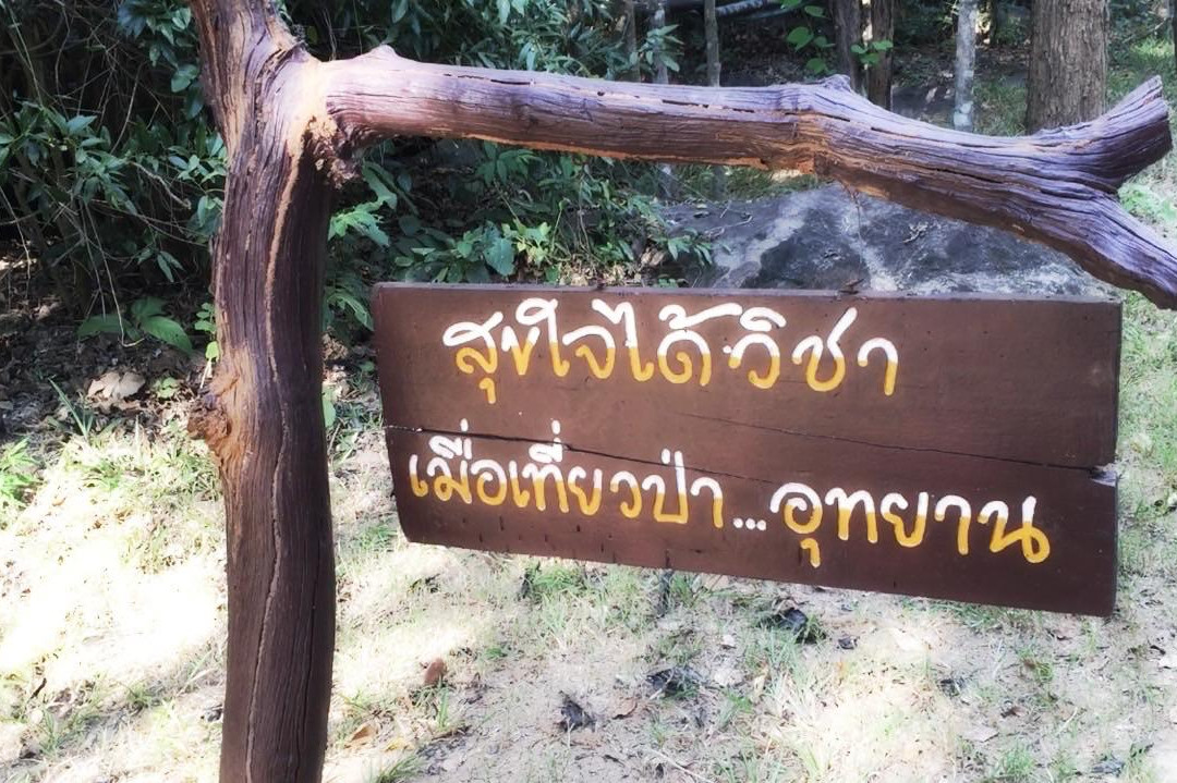 Tatton National Park景点图片