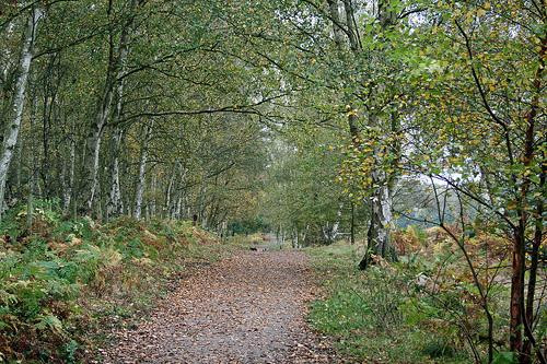 Highgate Common Wildlife Reserve-Wombourne必去景点