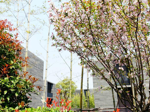 杭州西溪黄龙西轩丽呈酒店主图