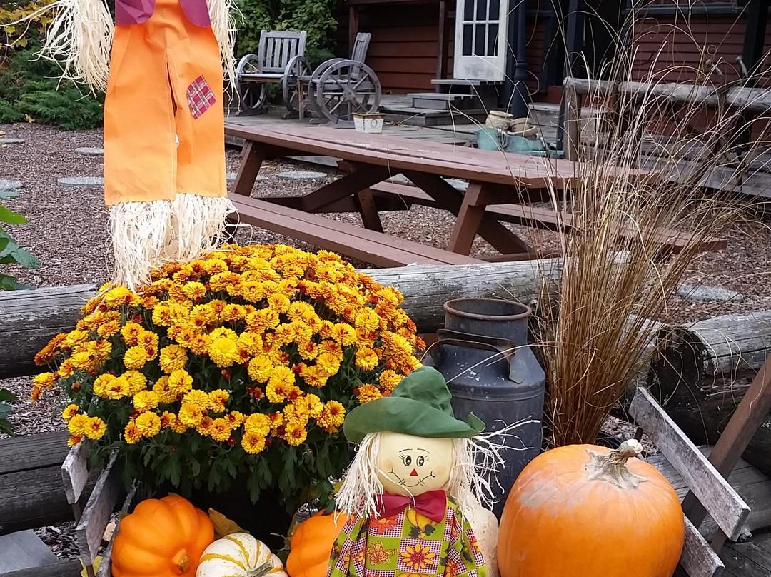 Spuzzum酒店住宿-Old Towne Inne Chuckwagon Bar & Grill