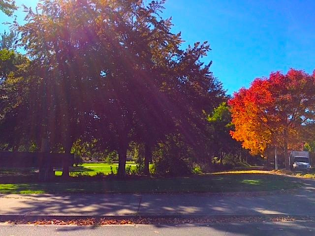 Alton Baker Park-尤金必去景点