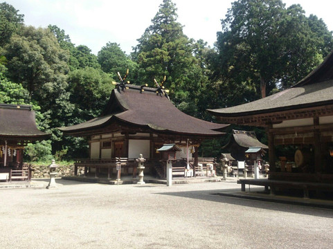 Mikami Shrine-野洲市必去景点