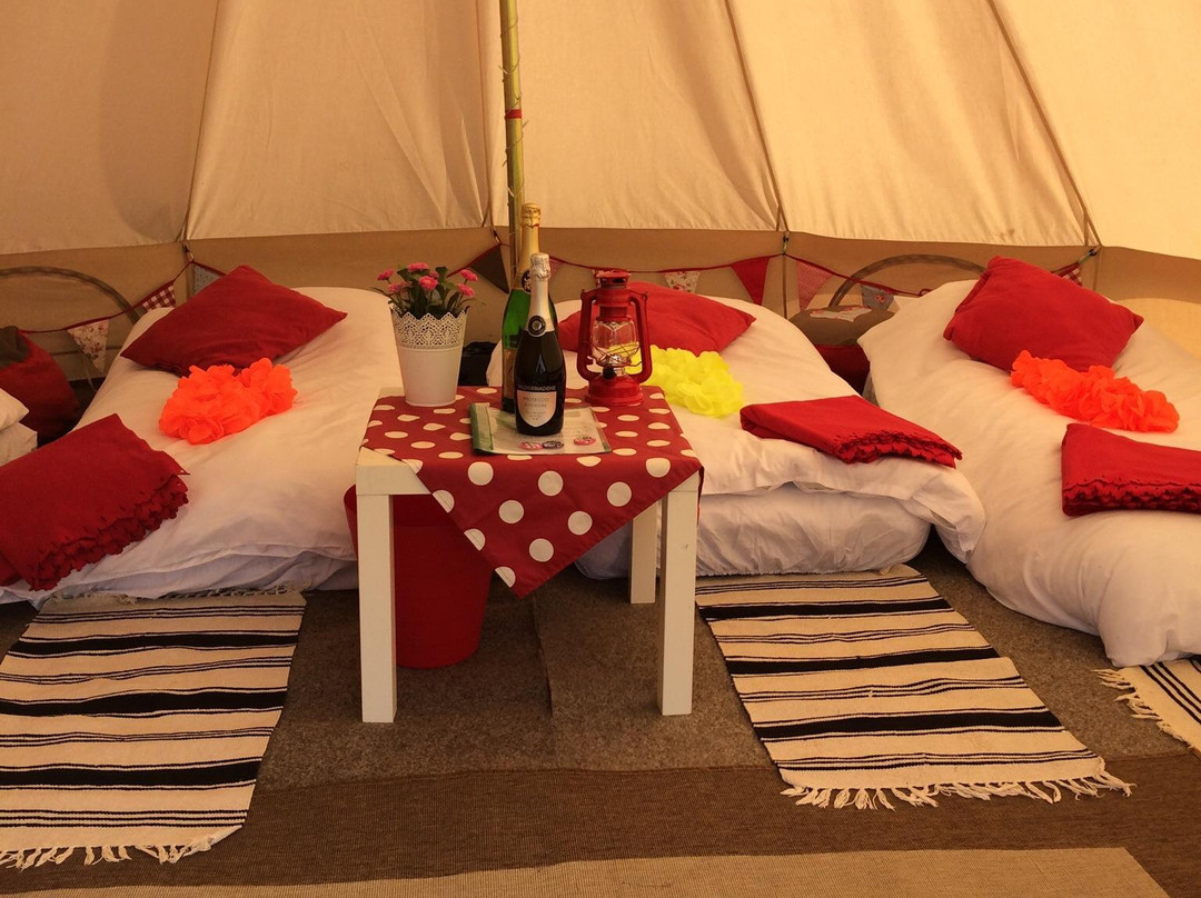 Not Just Any Tent