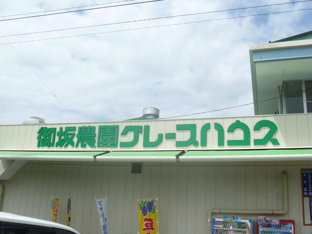 Misaka Farm Grape House-笛吹市必去景点