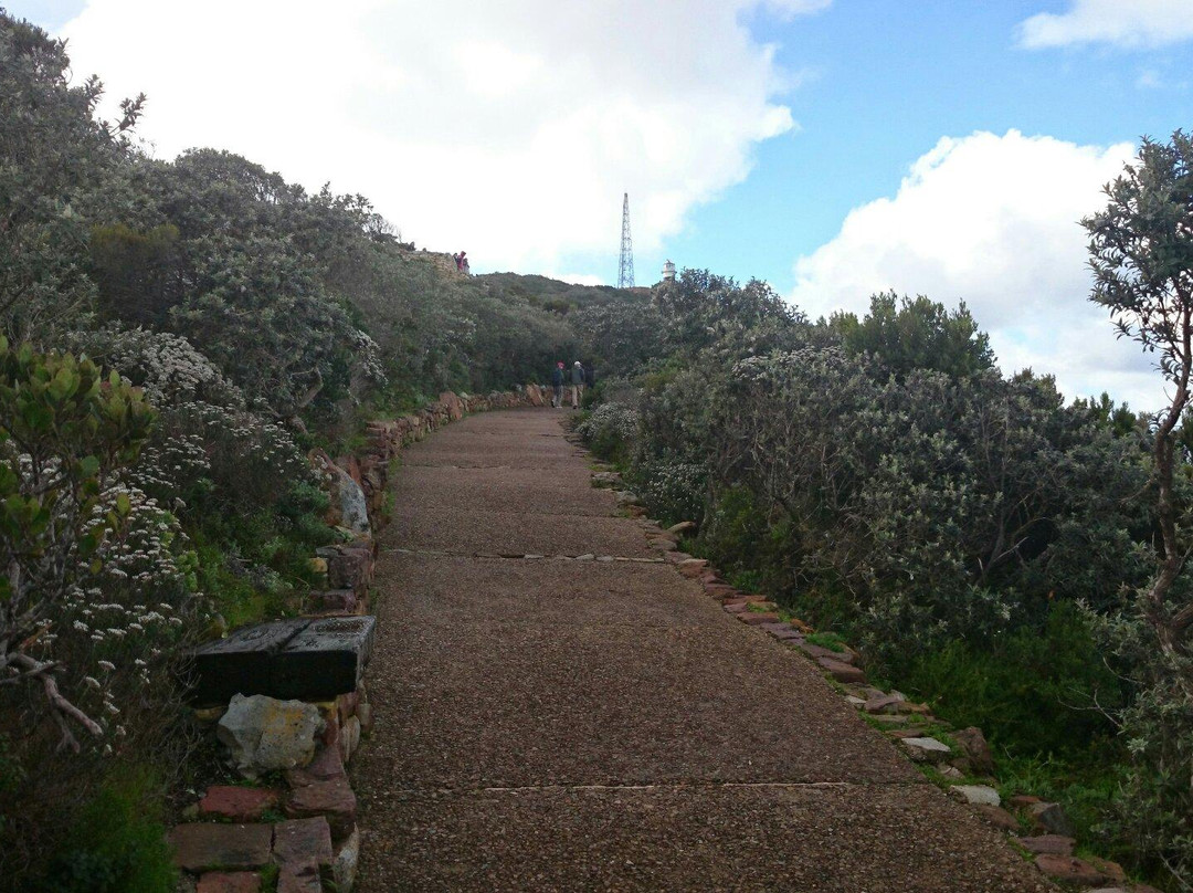 Cape of Good Hope-桌山国家公园必去景点