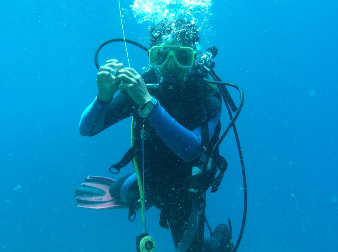 Spindrift Reefs Dive Center - Day Dive-达瑙市必去景点