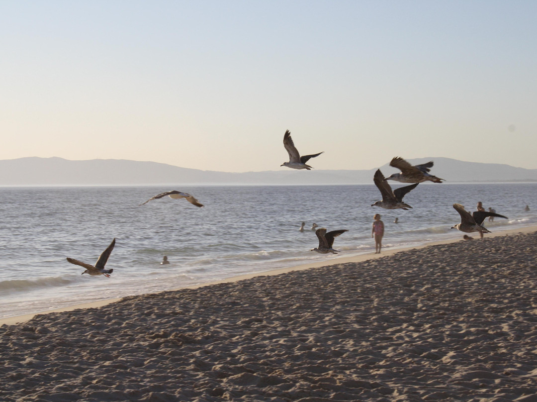 Comporta Beach景点图片