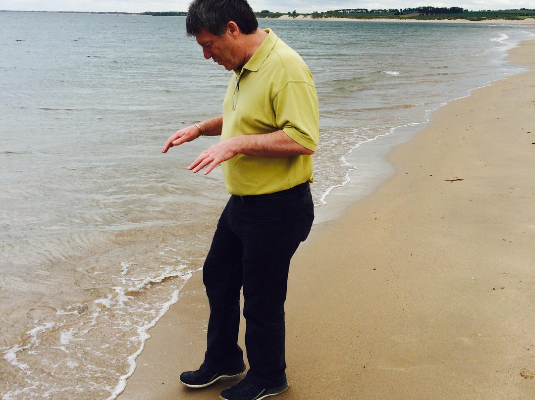 Warkworth Beach-Warkworth必去景点