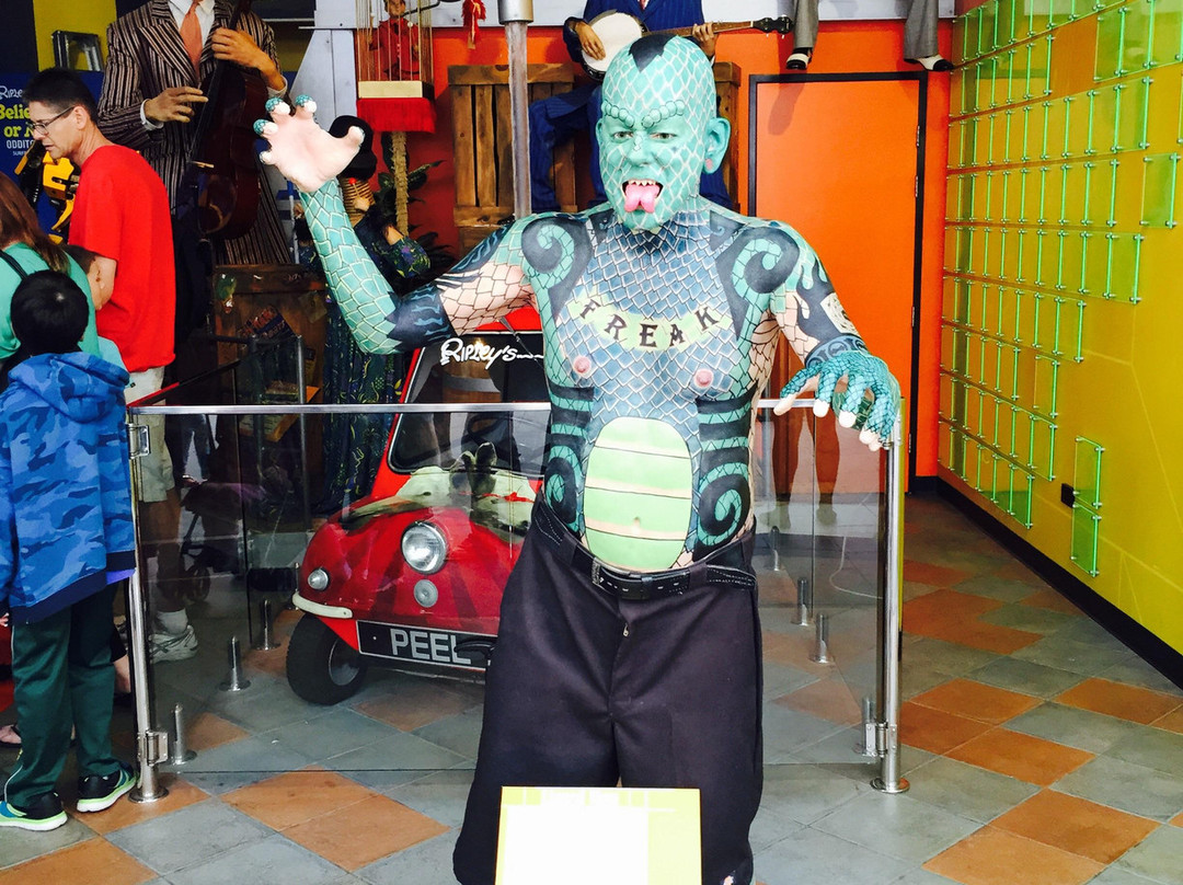 信不信由你博物馆-冲浪者天堂必去景点