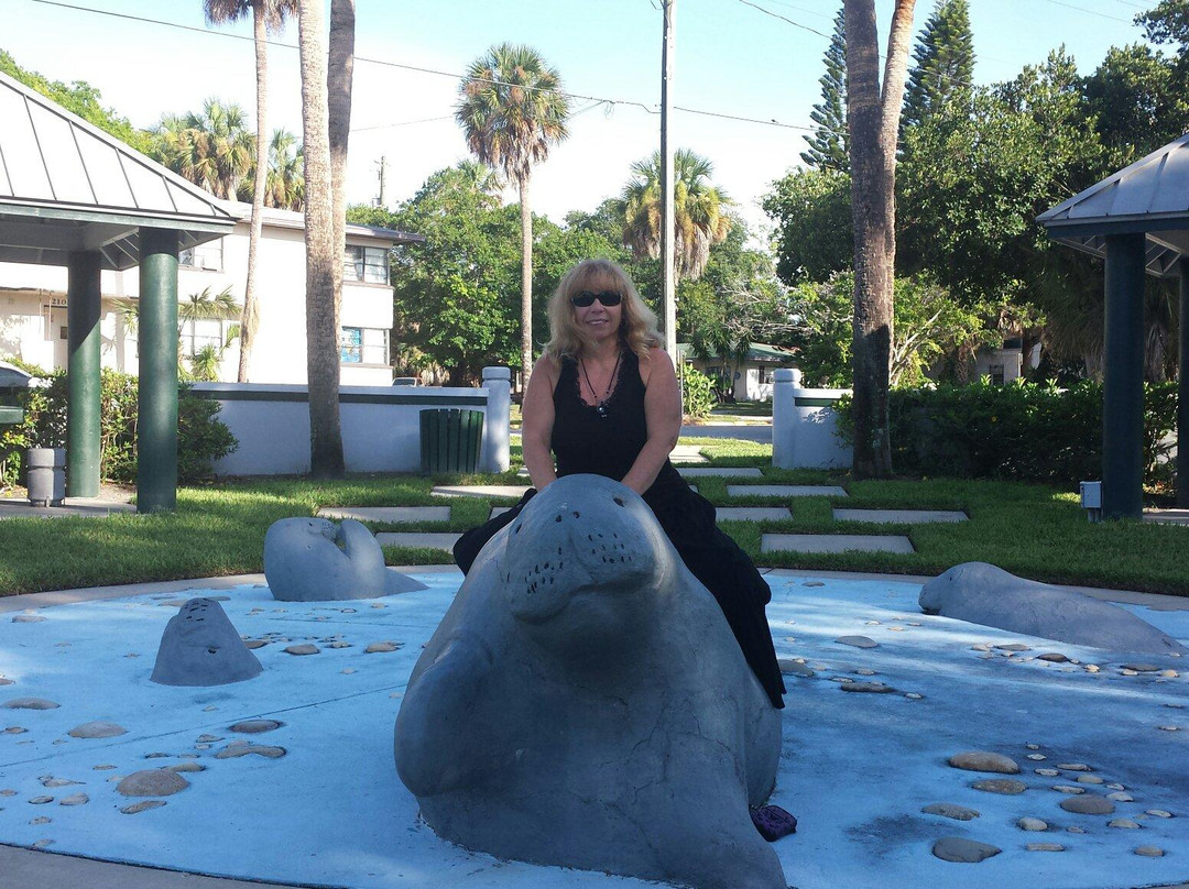 Crane Creek Promenade Manatee Observation Area景点图片