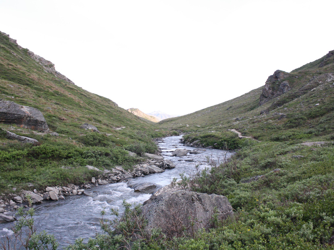 Denali National Park-阿拉斯加必去景点