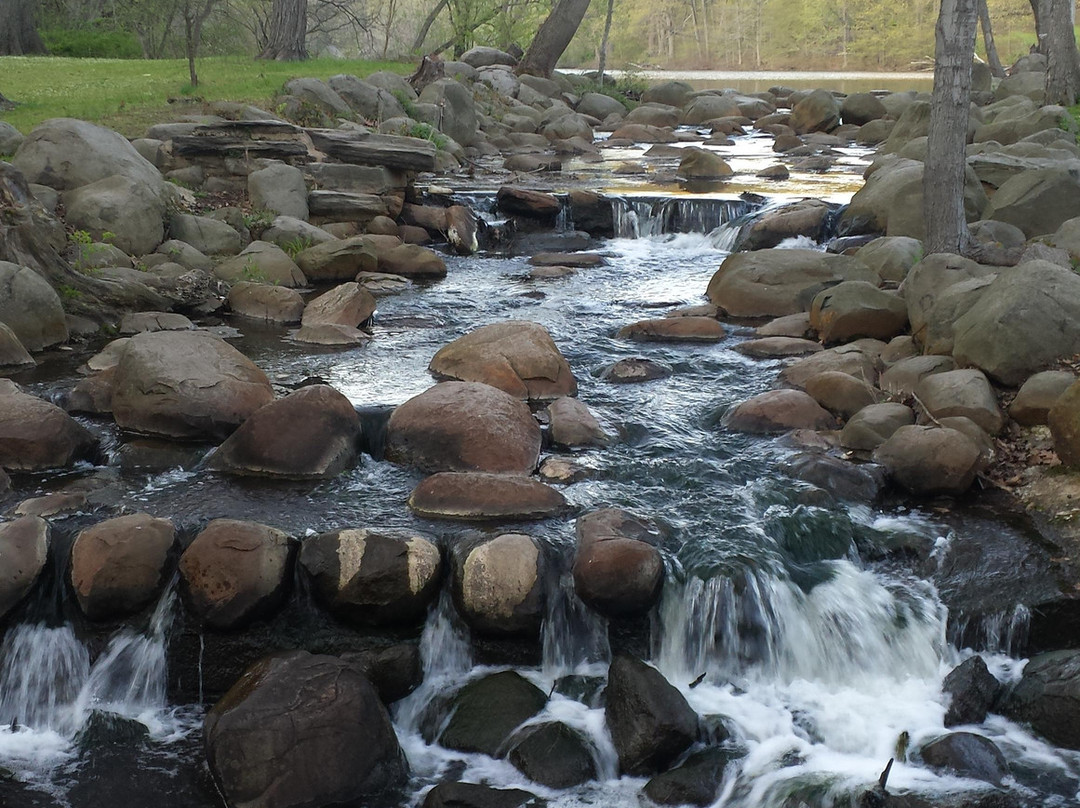 Tibbetts Brook Park景点图片