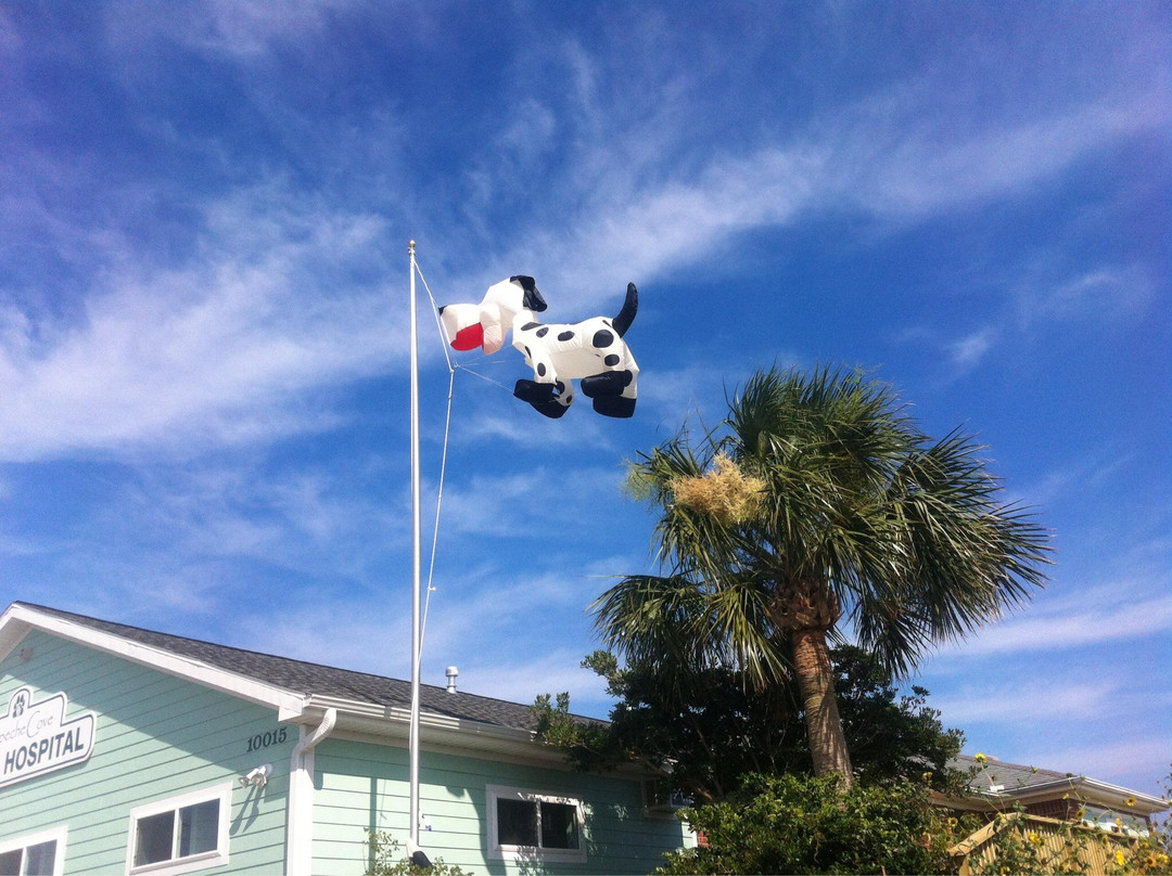 Kite's and Flagpoles Unlimited-盖维斯顿必去景点