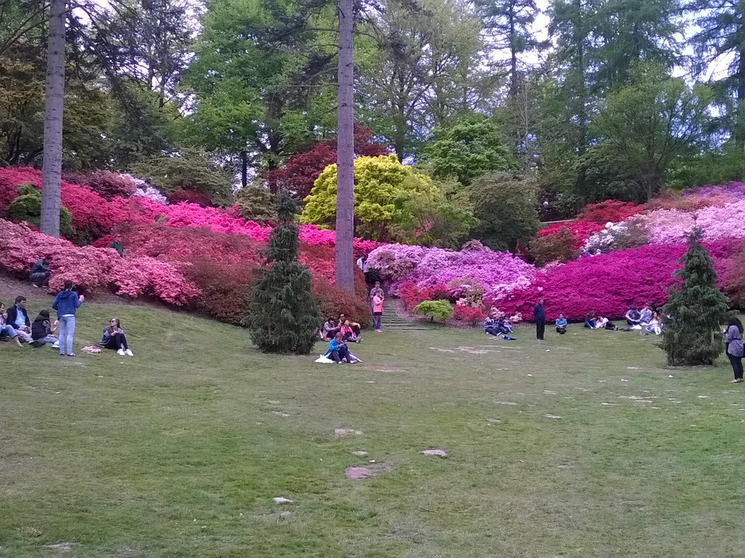 The Valley Gardens景点图片