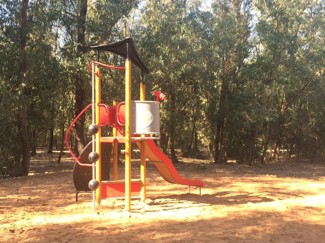 Foret De Bouskoura-卡萨布兰卡必去景点