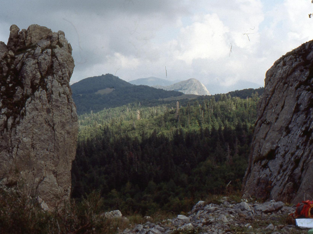 Monte Caramola景点图片