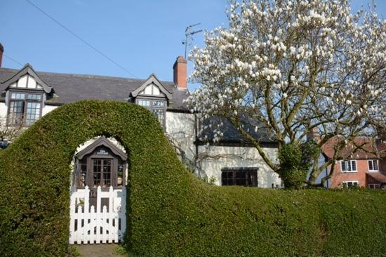 The Cottage Bed & Breakfast-浴室