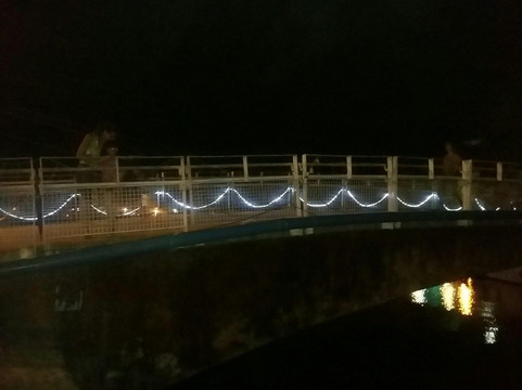 Ponte Paulo Dias Carvalho Mendonça-帕拉地必去景点