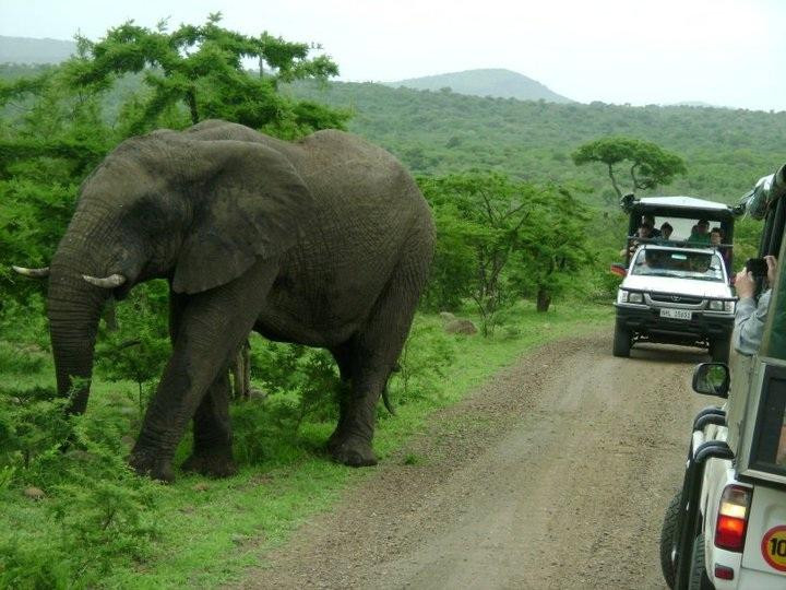 Julnic Tours-德班必去景点