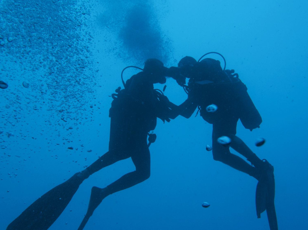 Nautilus Plongee-Mamoudzou必去景点